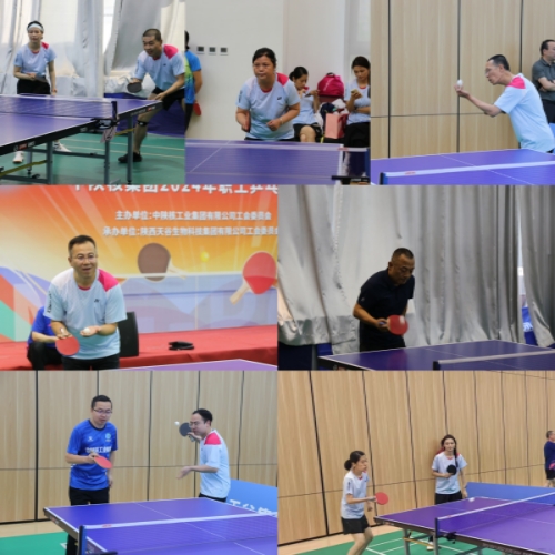 1717665237477542.jpg 11.jpg